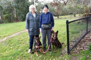 Petition calls for fenced dog park in Kilsyth
