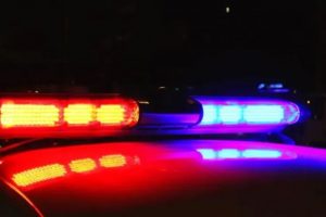 Man charged after allegedly ramming police car before setting a stolen car on fire in Cockatoo