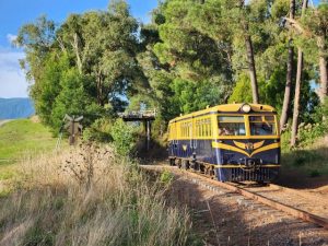 Yarra Valley Railway, perfect activity for the whole family