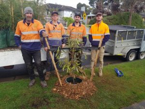 Street improvement hits 1000 tree milestone