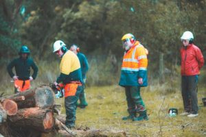Chainsaw safety for residents