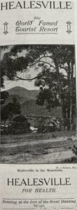 A healthy Healesville