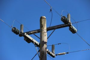Yarra Ranges Council fined for breaching powerline clearance codes