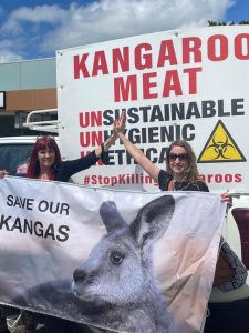 Yarra Ranges Council to consider stance on commercial harvesting of kangaroos