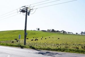 Telecommunications tower approved for Chirnside Park