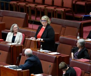 Labor Senator Linda White calls for Casey to vote Yes to The Voice