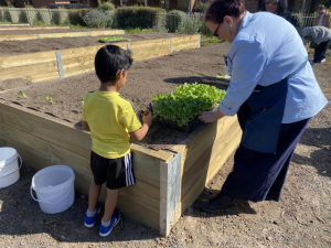 Mooroolbark officially opens its community garden