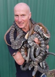 Snakes spotted as September sun sparks sighting season