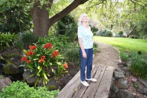 Springing into The Elms
