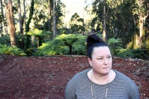 Erosion management amendment progresses to planning panel