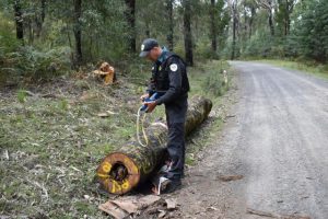 State parks suffering from theft and damage