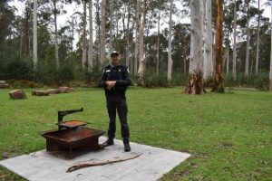 Campfire caution best defence