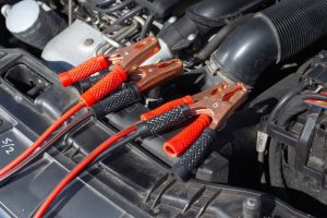 Rotary Club of Wandin holding a battery collection