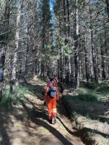 Police, SES find missing man in Narbethong