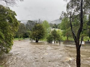 Moderate flood warning issued for Yarra River from Millgrove all the way to Warrandyte