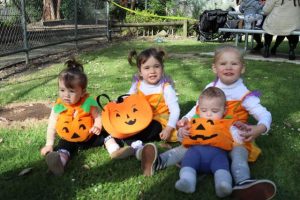 Happy Halloween from Mooroolbark Miniature Railway