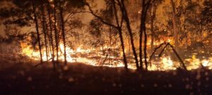 Over 24,000 buildings and structures at risk due to bushfire in the Yarra Ranges