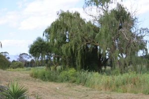 Lilydale residents on their last tether as flood inaction worsens