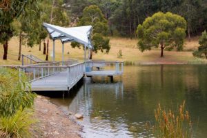 Stocking Sucess for Anglers this Summer