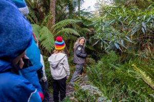 Be a park ranger for a day over summer