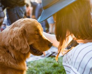 How to prepare pets for summer