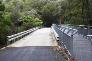 Vehicle access reopened for Redwood Forest