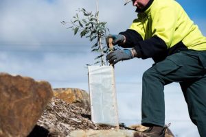 Yarra Ranges Council approve updated Nature Plan