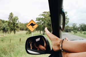 Tips for a top holiday road trip
