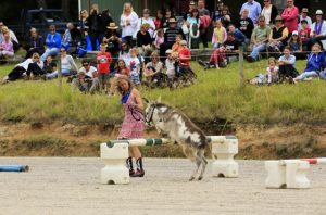 Yarra Ranges Donkey Festival on this month