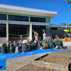 Boosting creativity at Croydon Primary School