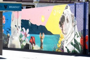 Sprucing up Mooroolbark with ever evolving street art