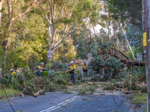 Total fire ban followed by storm warnings for Thursday 22 February