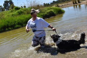 Fun event helps homeless animals
