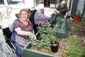 A garden of independence