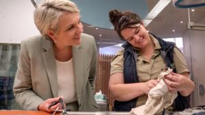 New era for Leadbeater’s possum