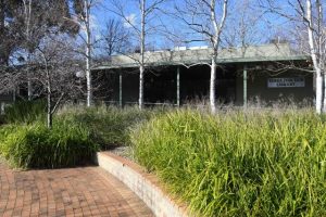 Local libraries closed for late CEO’s memorial service