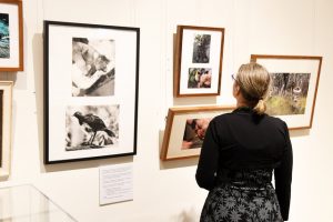 Let’s celebrate Healesville Sanctuary’s 90th birthday together