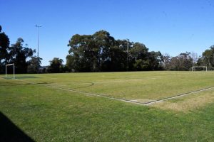Morrison Reserve’s makeover confirmed by master plan