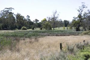 Village approved for Swansea Road Lilydale