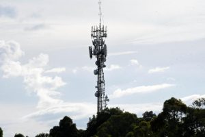 Mobile Blackspot Program’s future clarified, though Casey MP Aaron Violi remains concerned