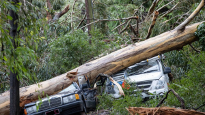 Remembering the June 2021 storm