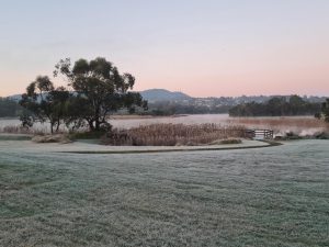 Cold snap sees frost blanket the region