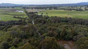 Yering marks first cultural burn on council land