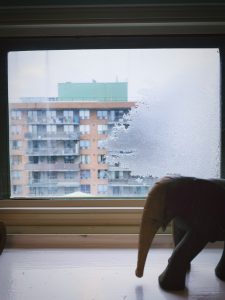 Aussies chill on cold homes