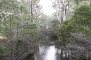 Alarming number of deaths recorded in latest National Drowning Report