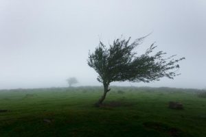 Wind warning issued as weekend starts