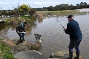 Huge rainbow trout stocked across Melbourne lakes