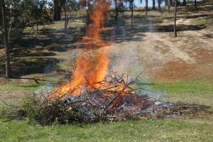 It’s time to register burn-offs online