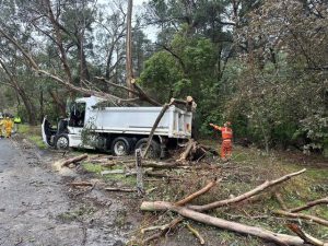 Truck driver lucky after colliding with tree in Lilydale