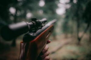 New regulations to safeguard recreational hunting